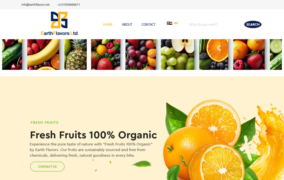Earth Flavors real website screenshot