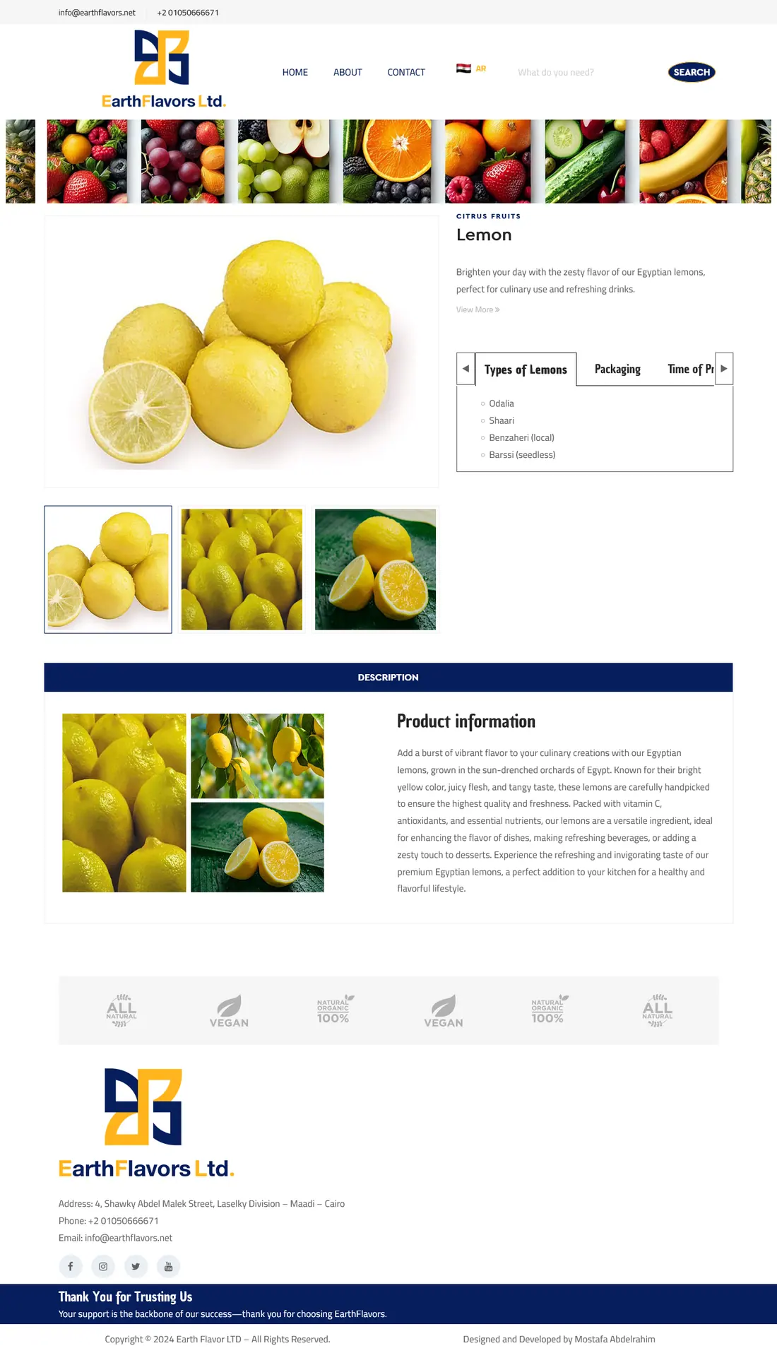 Earth Flavors project screenshot 3
